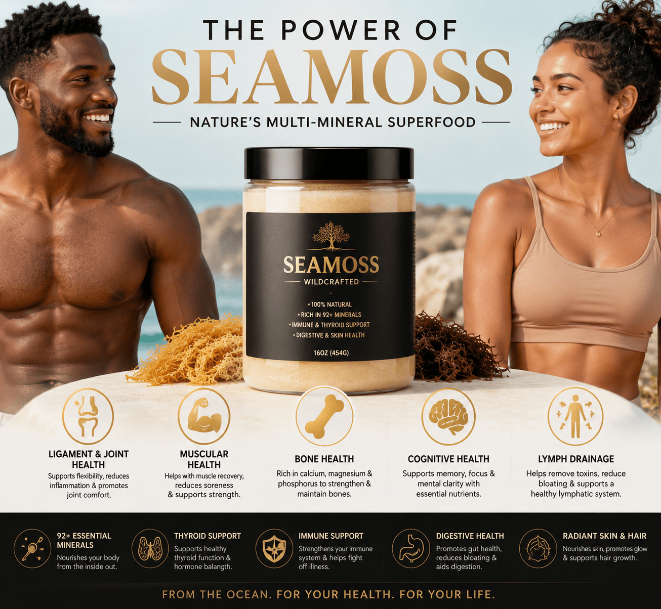 Wild - Crafted Sea Moss Gel - Rebuild HimRebuild HimWild - Crafted Sea Moss Gel